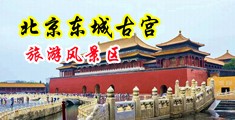 免费看日B高潮视频中国北京-东城古宫旅游风景区